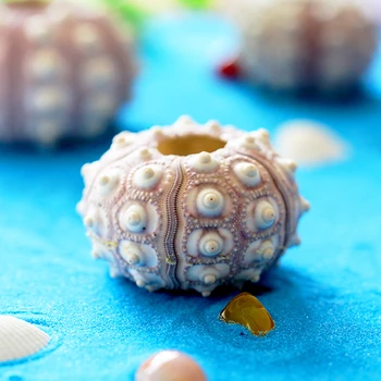 Prirodzený Morský ježko Fialová Domáce Dekorácie Fotografie Rekvizity DIY Shell Conch Ananás Šťavnaté Črepníkové Rastliny